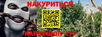 ГАЛЛЮЦИНОГЕННЫЕ ГРИБЫ Заволжье